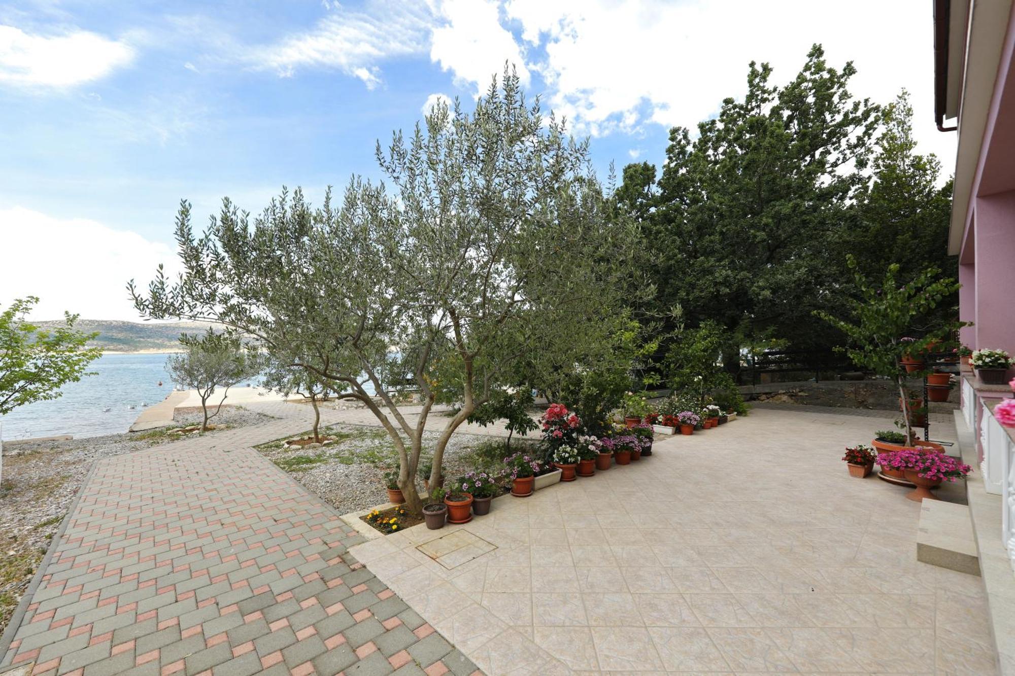 Villa Rajna Starigrad Paklenica Habitación foto